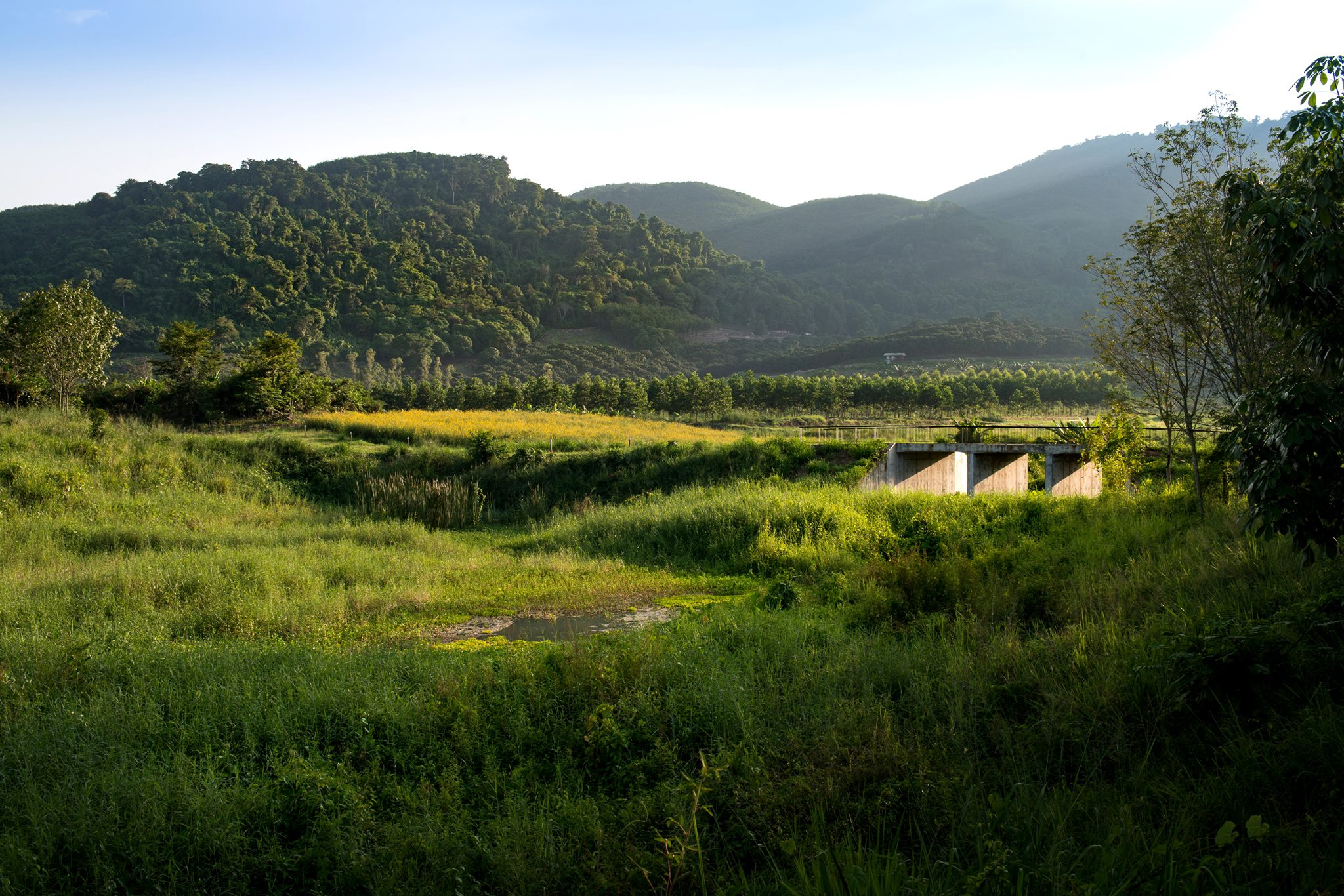 LAB - Landscape Architects of Bangkok