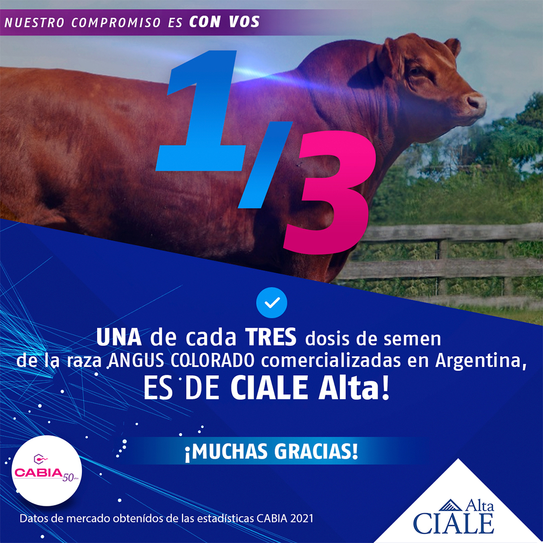 CIALE Alta - Nuevamente los datos del mercado confirman... | Facebook