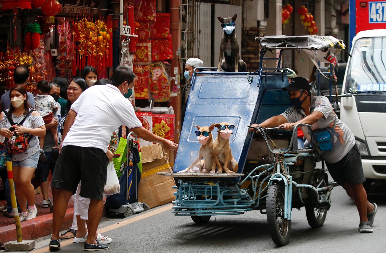INQUIRER.net - LOOK: A man pushes his tricycle with his pet dogs ...