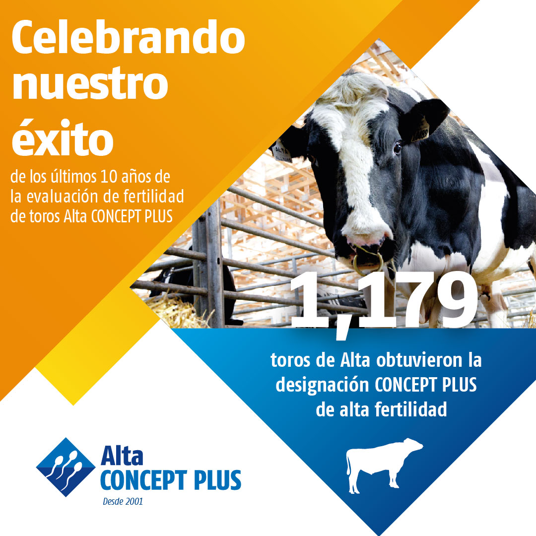 CIALE Alta - Si bien no todos los toros de Alta obtienen... | Facebook