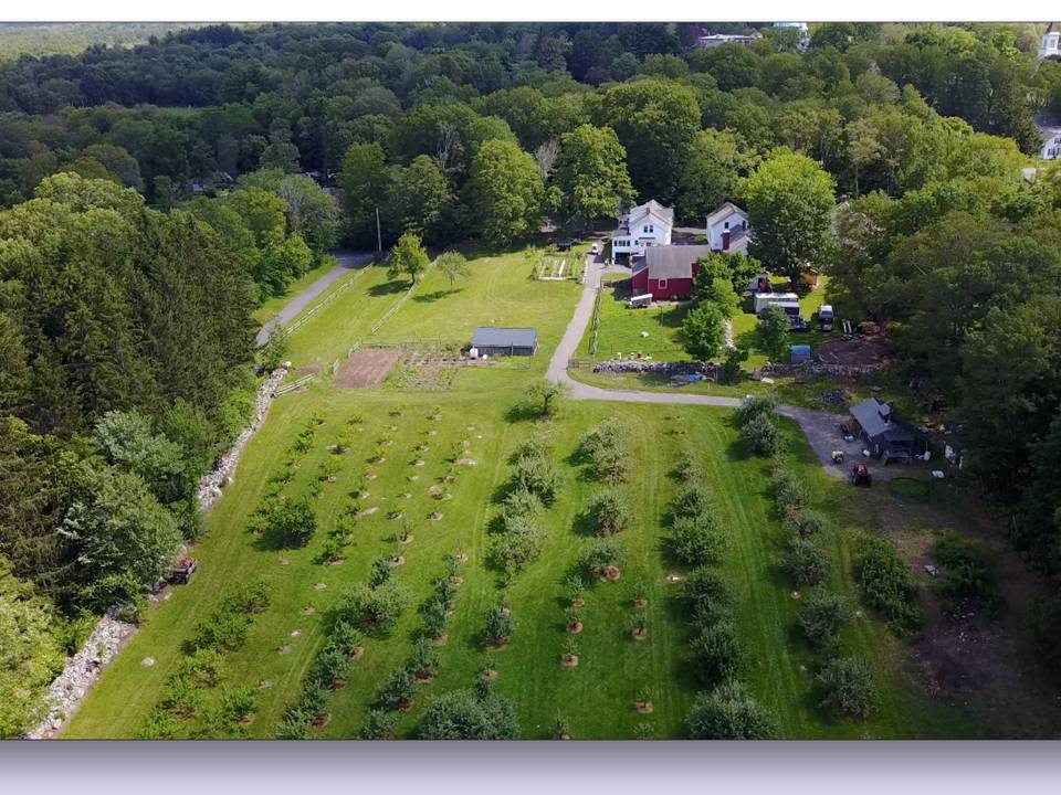 Sentinel Farm | Belchertown MA