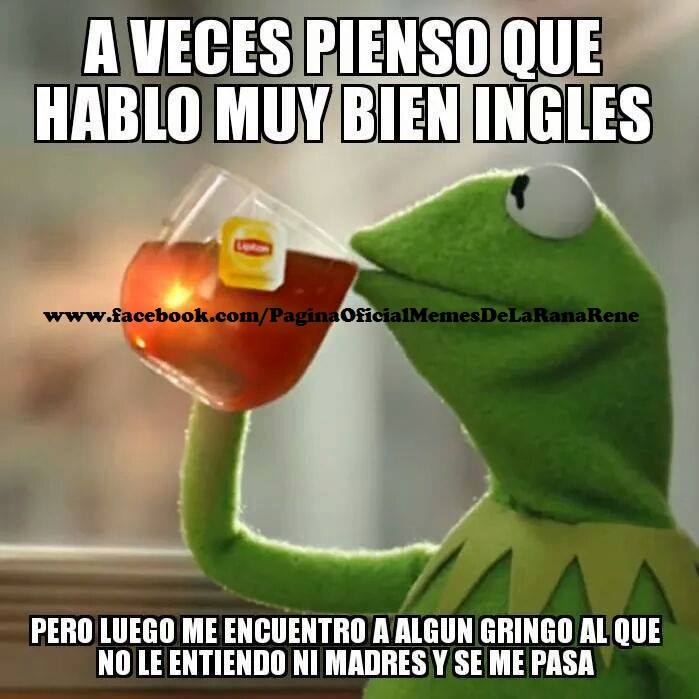 Memes Educacion Rana Rene Memes De La Rana Rene