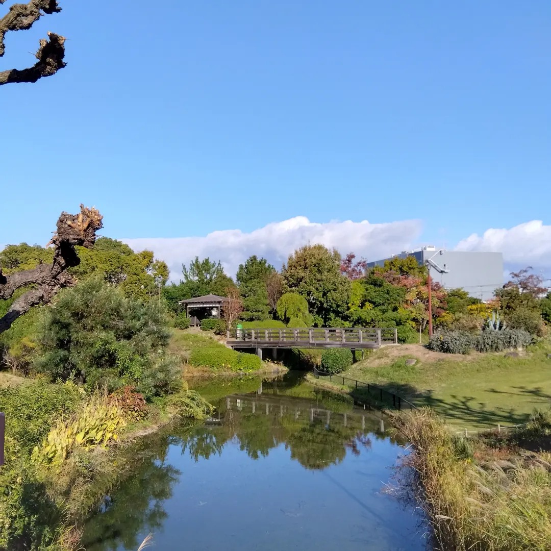 鳴尾 浜 臨海 公園