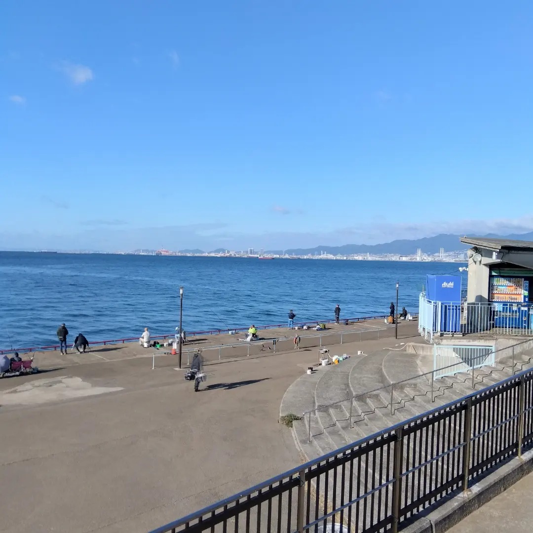 鳴尾 浜 臨海 公園 海 づり 広場