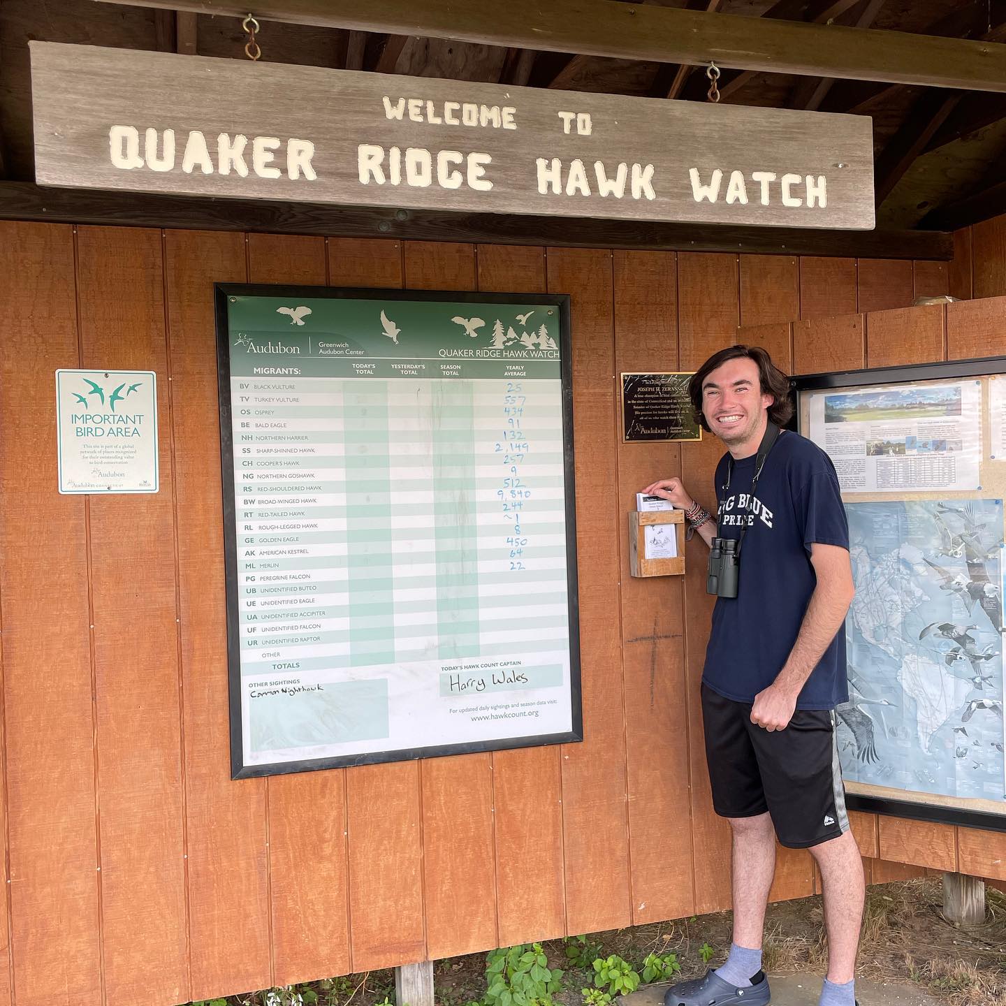 We are thrilled to welcome our... - Quaker Ridge Hawk Watch | Facebook