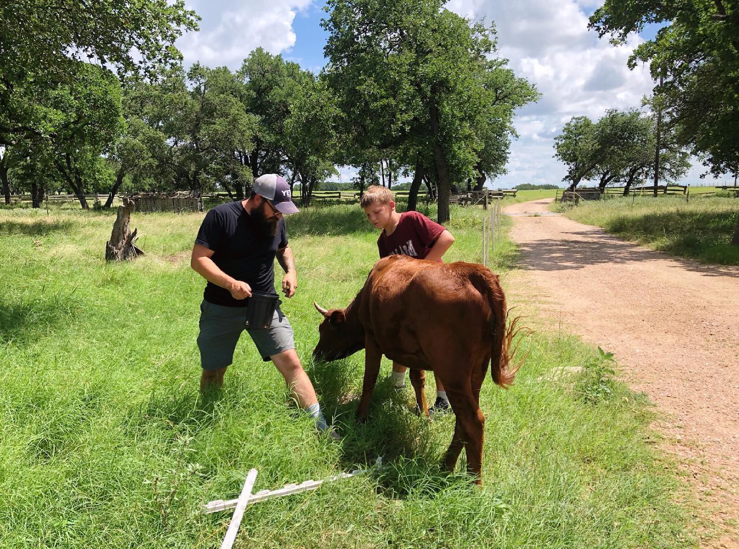 We try not to let any food go to... - Mother Luck Ranch