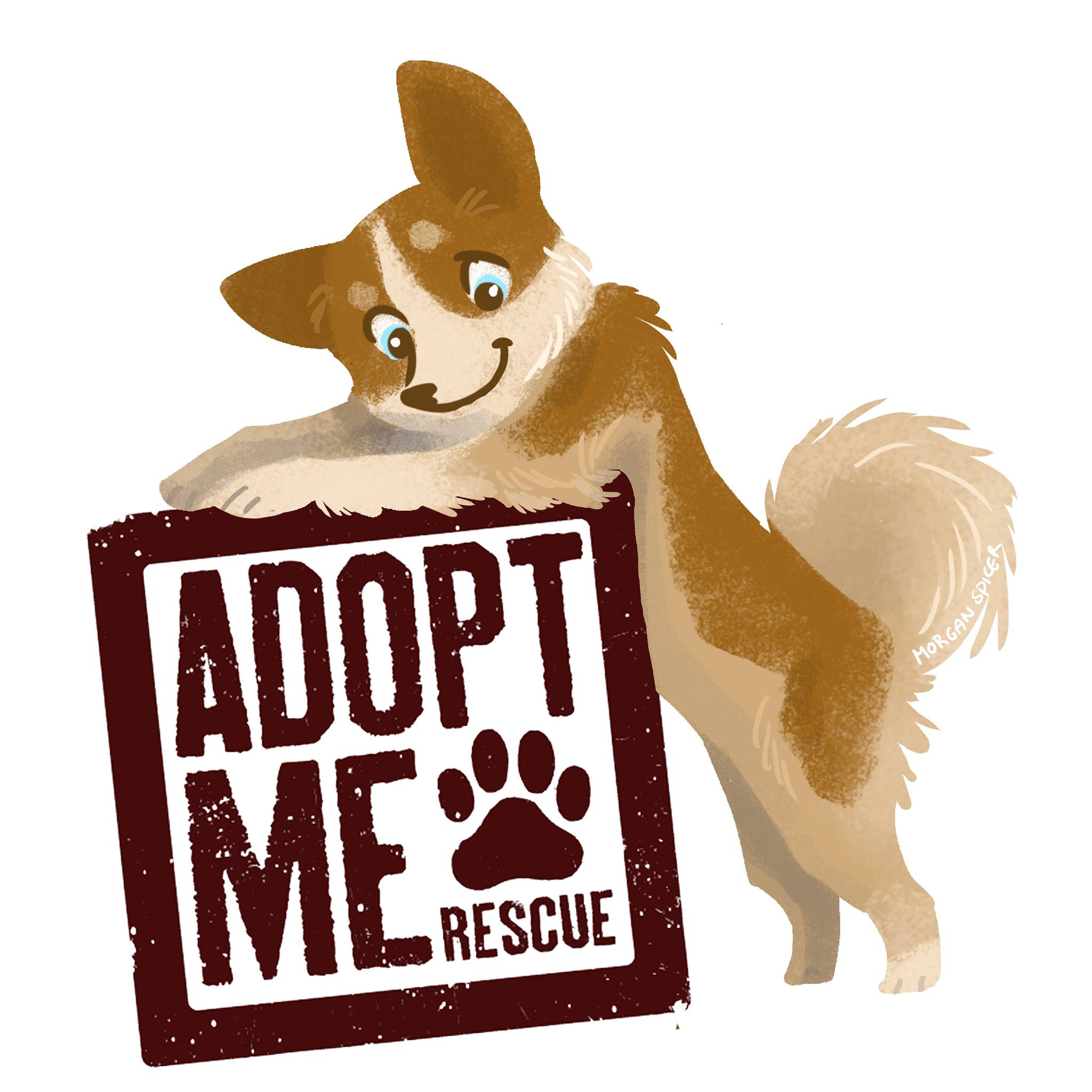 Adopt Me Rescue - Adopt Me Rescue added a new photo.