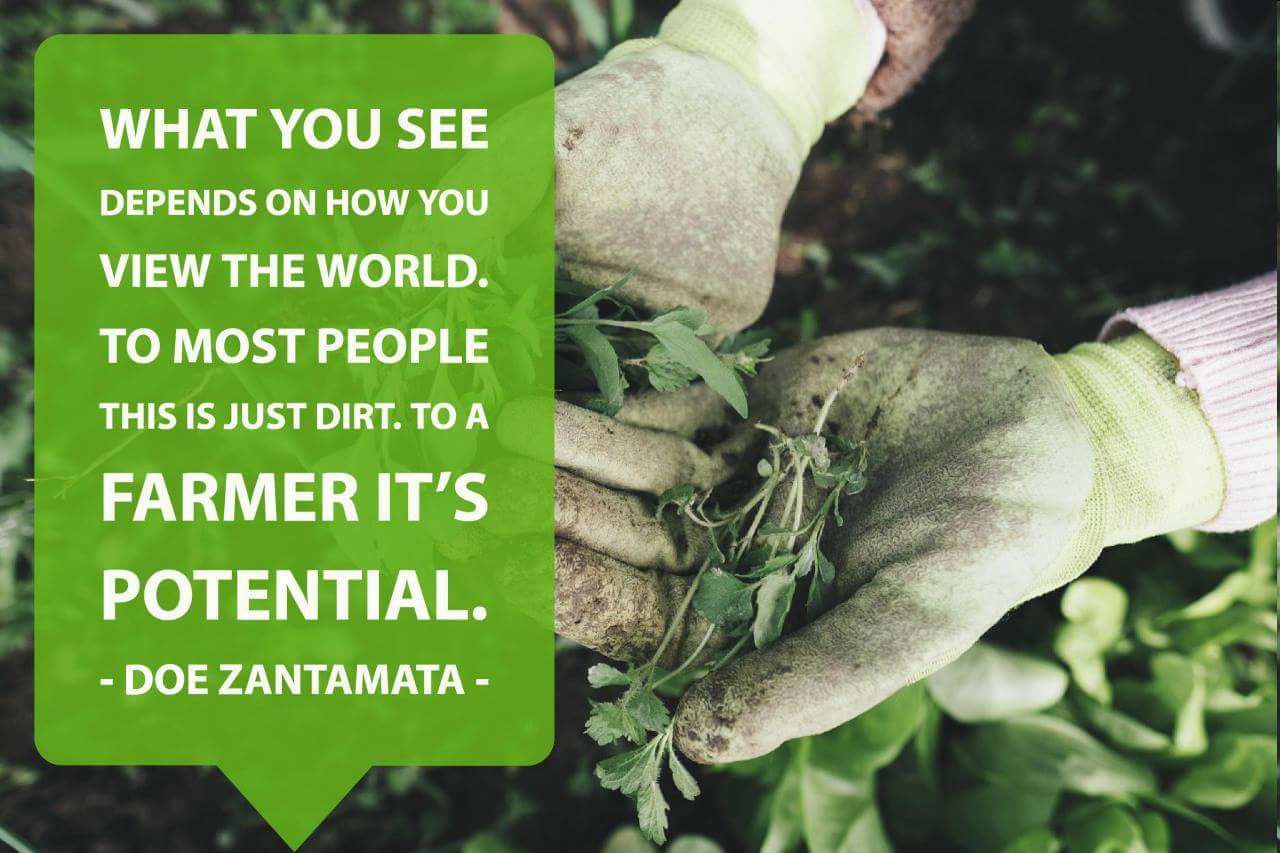 InteliGro - What you see depends on how you view the...