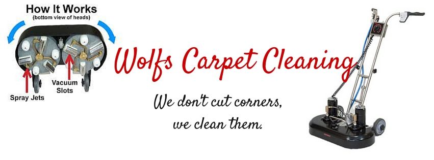 Wolf's Carpet Cleaning | Dubuque IA