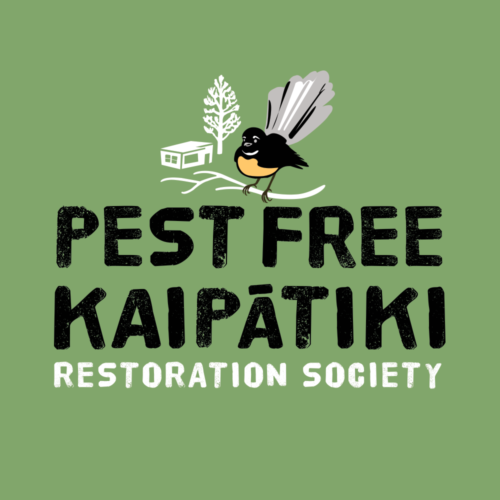 Yellow-legged hornet update: Here is... - Pest Free Kaipātiki | Facebook