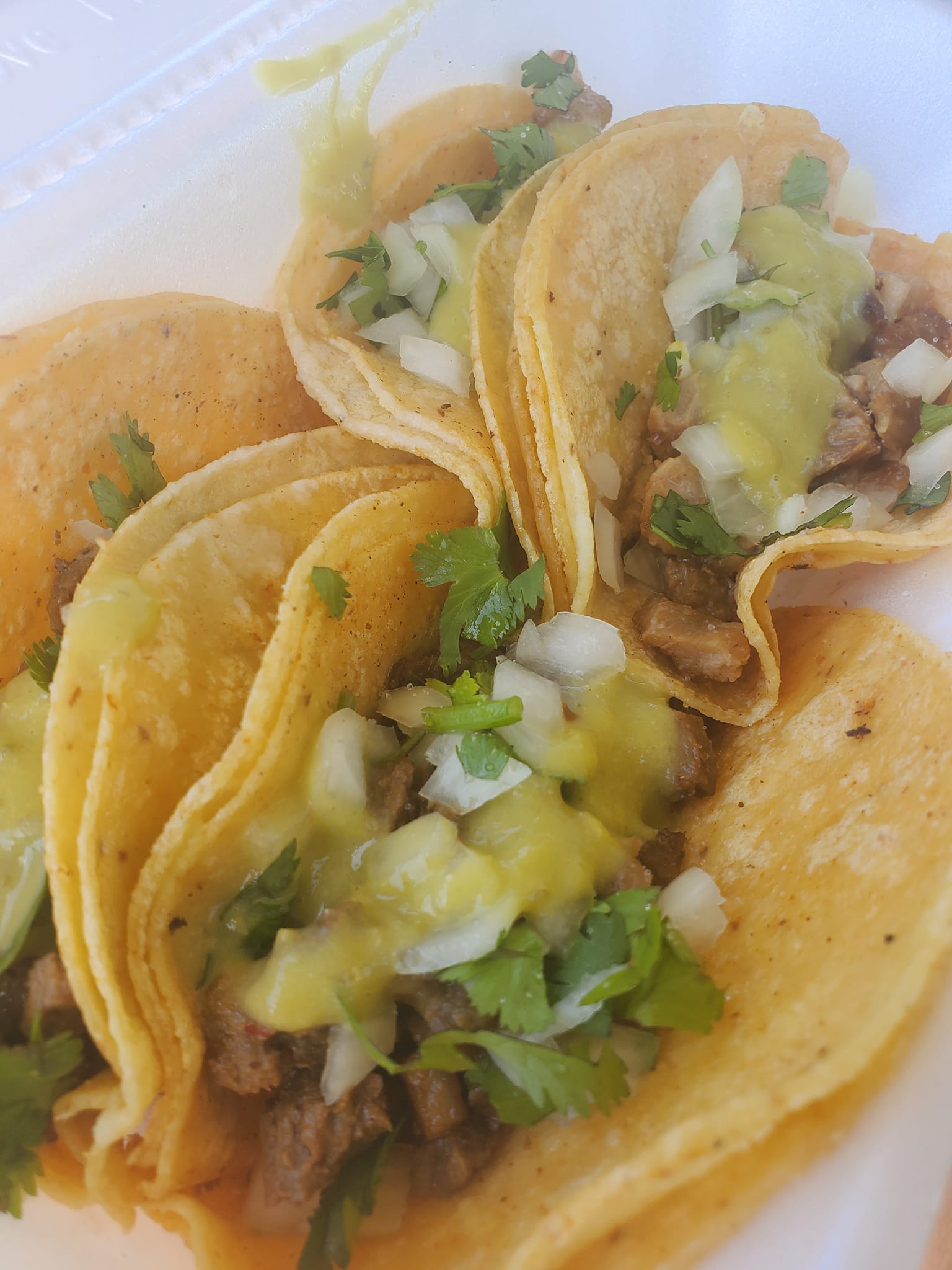 TACO REYES | Royse City TX