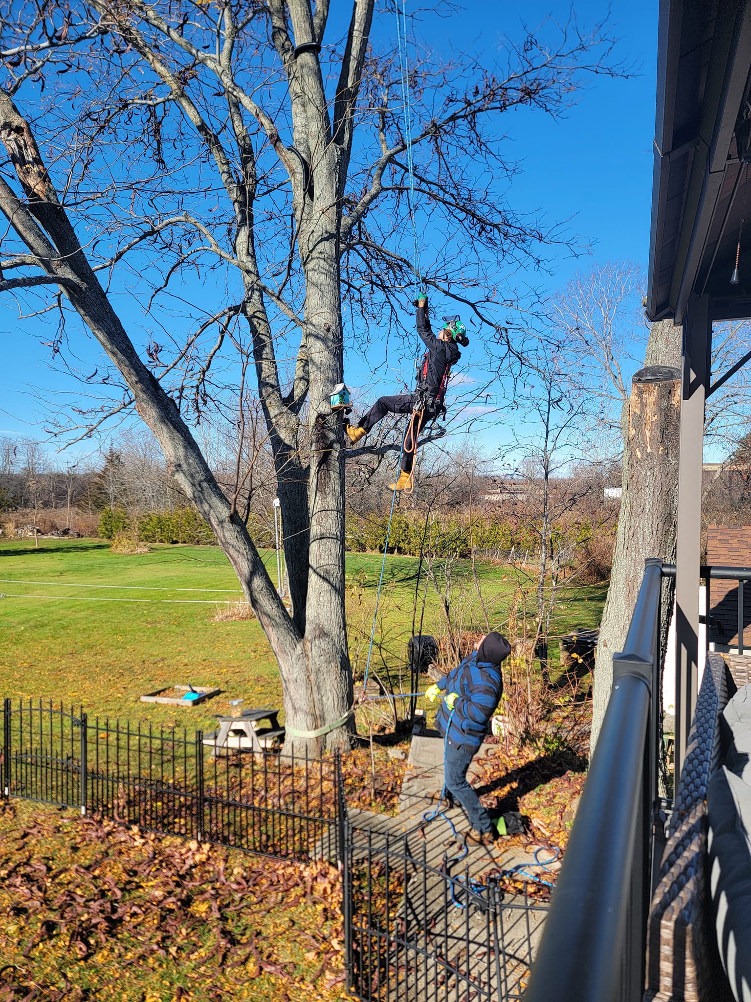 JayTree Services | Belleville ON