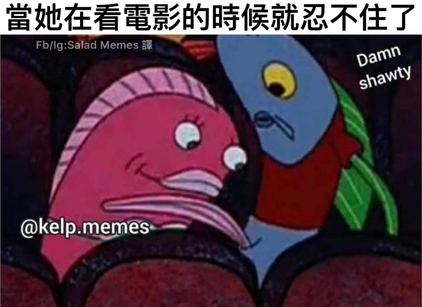 Salad Memes 2.0 - 別害我沒看到劇情== #迷因 #梗圖 #好笑 #搞笑 #爆笑 #笑死 #😂...