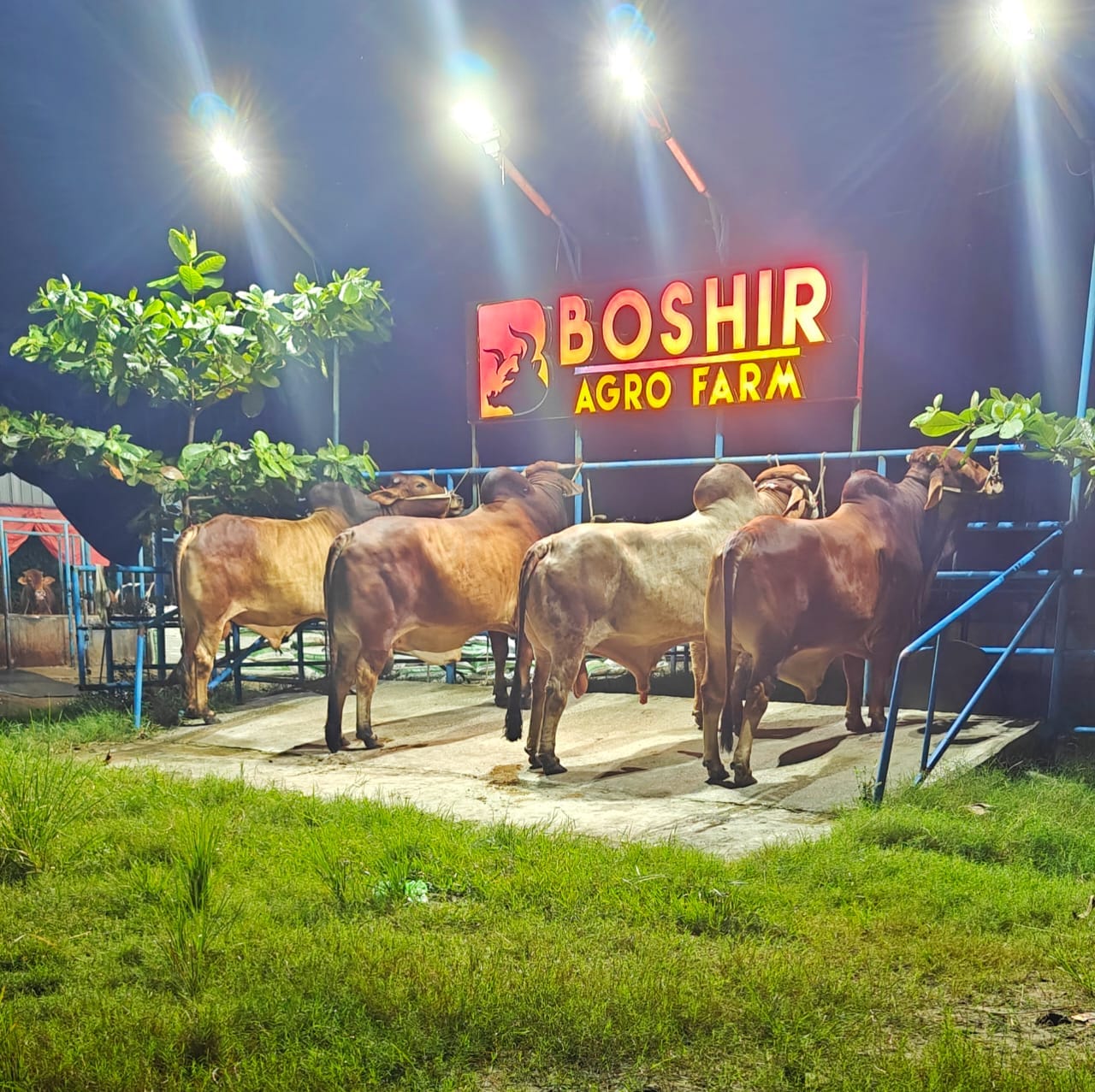 Boshir Agro Farm | Dhaka
