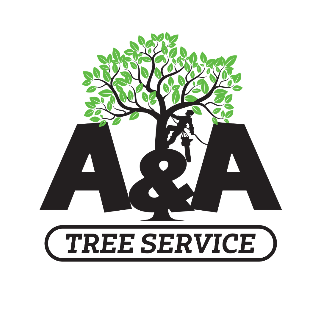Tree explosion #lego#tree#kirklandlake#treeservice #arborist | A&A Tree ...