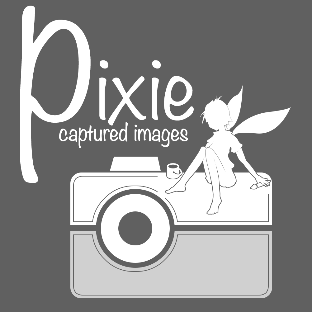 Pixie Captured Images added a new... - Pixie Captured Images