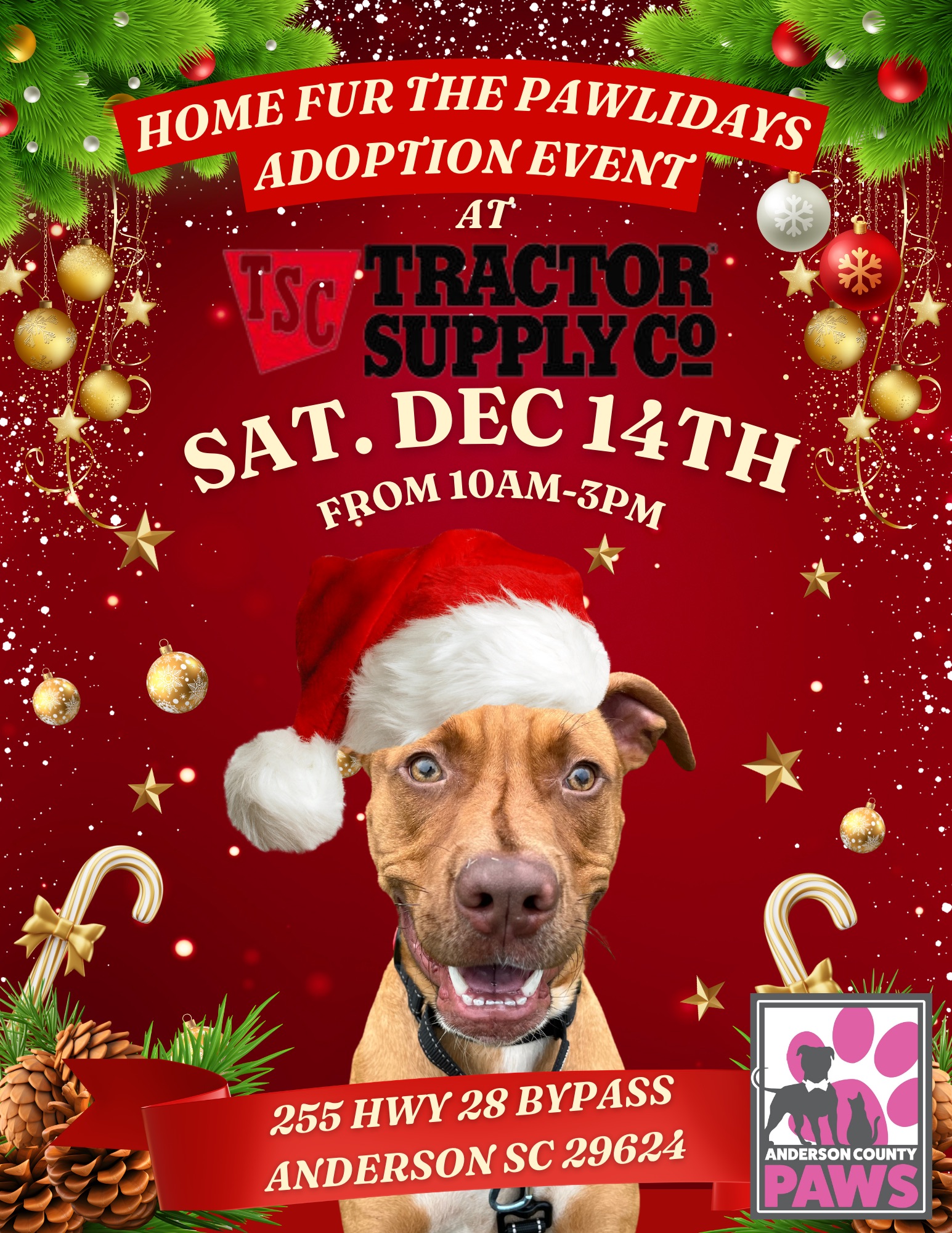 Home Fur-The Pawlidays Adoption Event