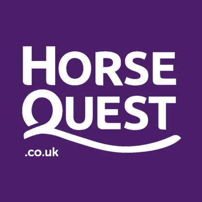 SUPER TALENTED 🔗 https://www.horsequest.co.uk/advert/413619 • Bold and ...