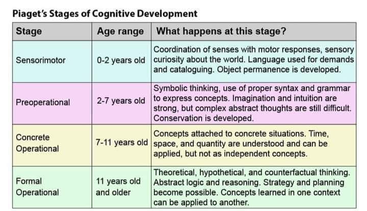 🔘 Jean Piaget's theory of cognitive development suggests that children ...