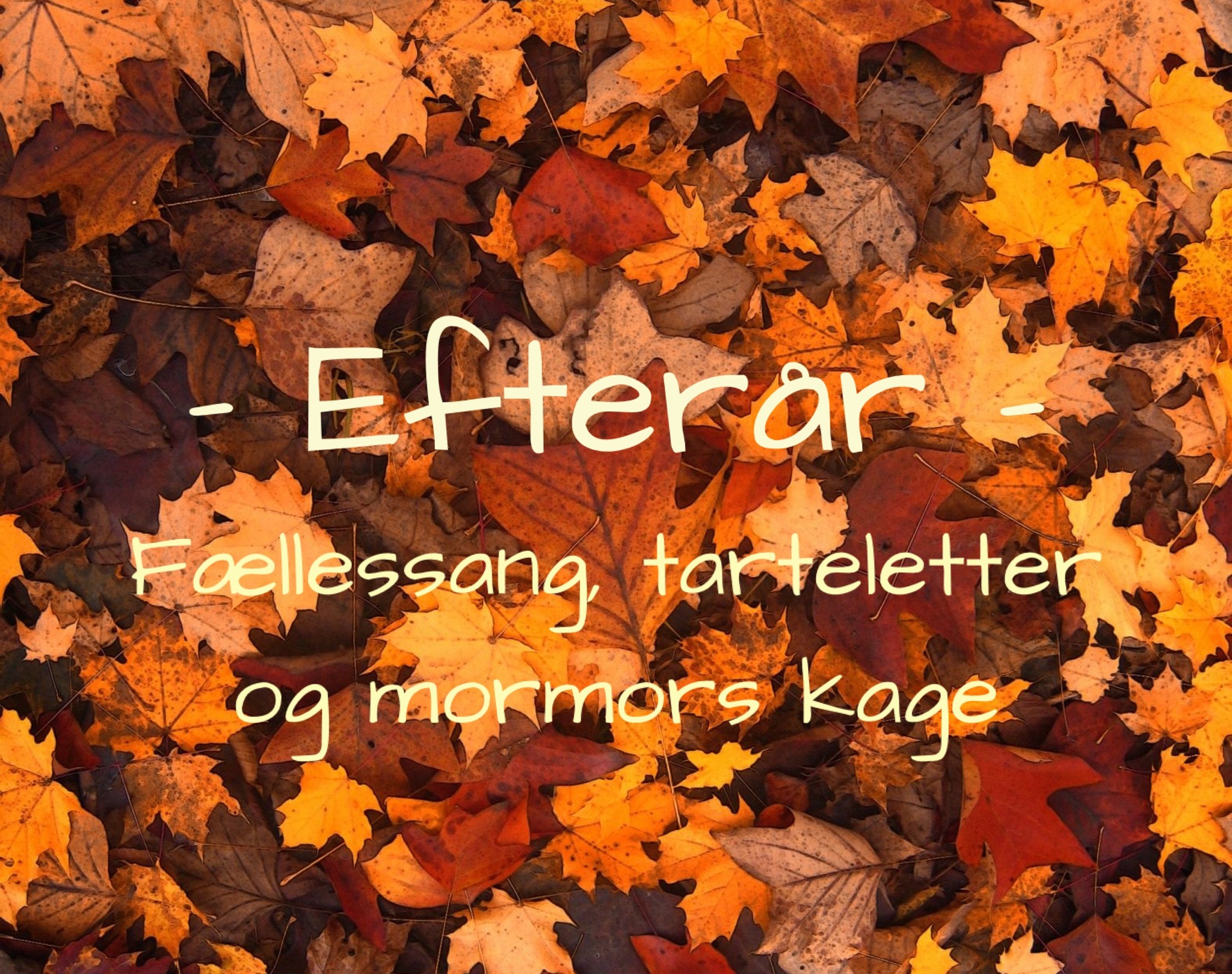 efter-r-f-llessang-tarteletter-og-mormors-kage