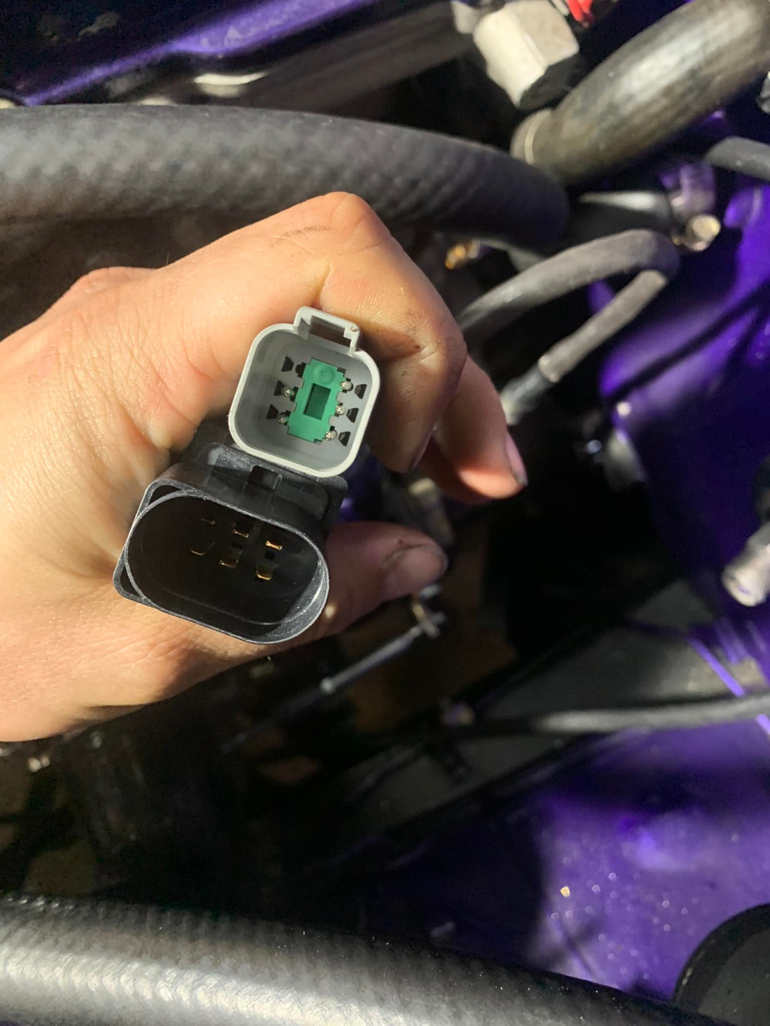 What o2 sensor is compatible with Motec setup?