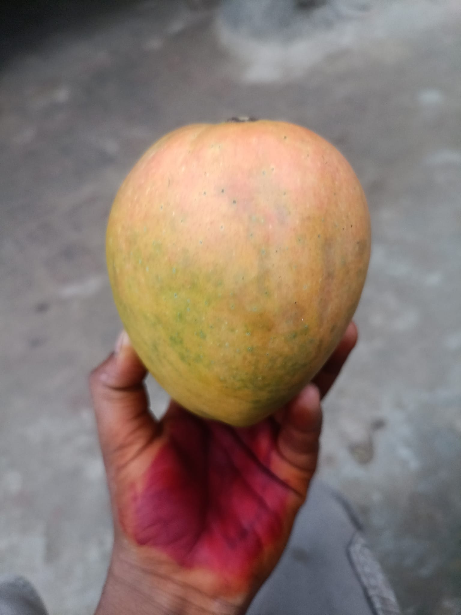 Md.Rajib ali | Rohanpur