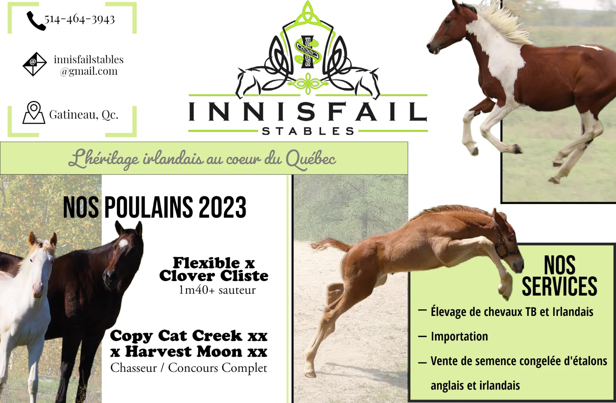 Our first advertisement (prepared by myself) in a french-speaking ...