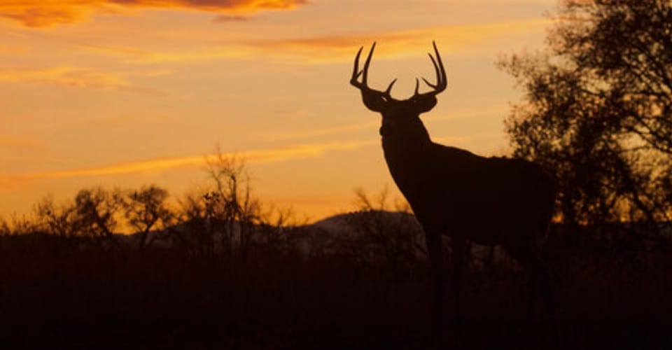 Fort Riley Fishing & Hunting | Facebook