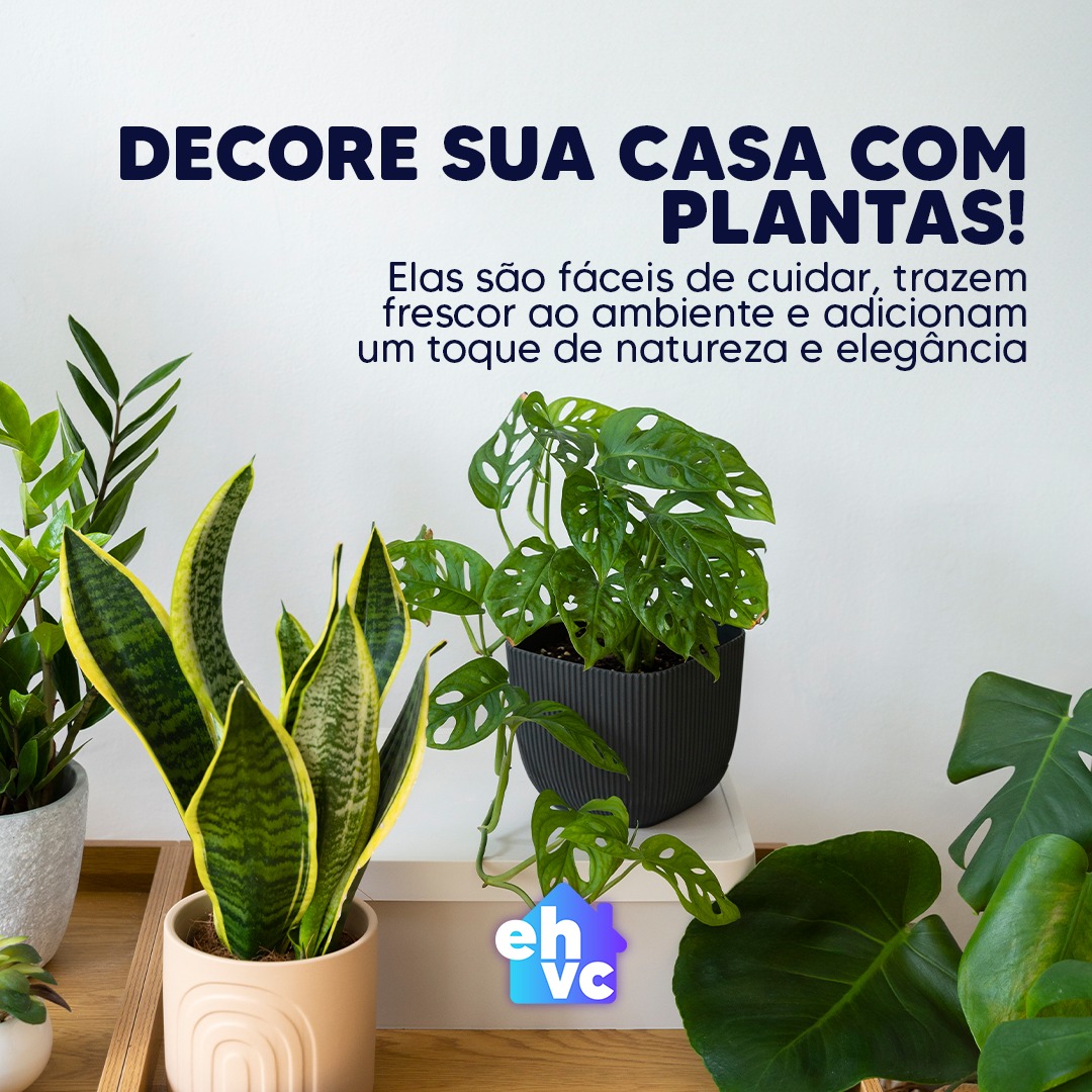 EHVC - Transforme seu espaço com o charme das plantas!🌿 Elas trazem ...