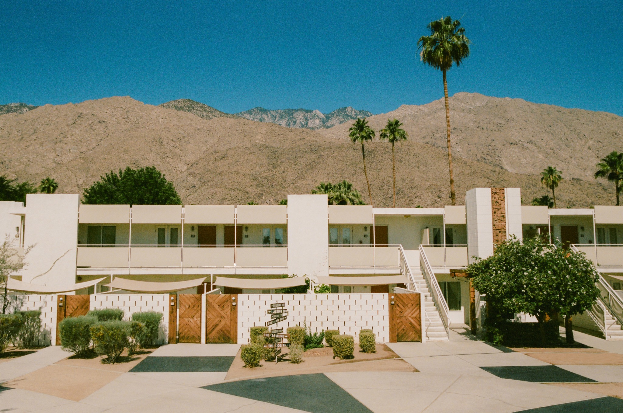 Ace Hotel & Swim Club | Palm Springs CA