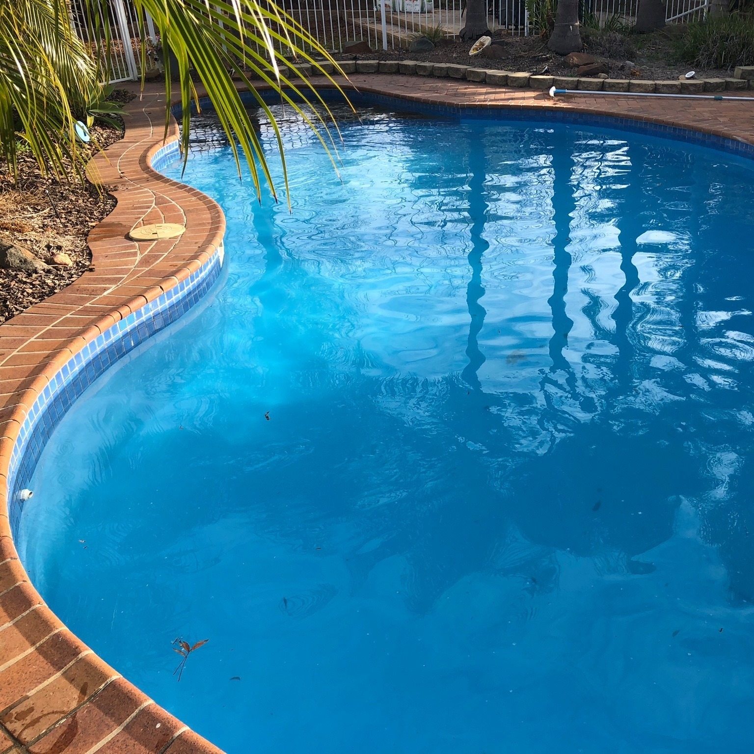 Scotty's Lawn... - Scotty's Lawn & Garden Surgery & Pool Care
