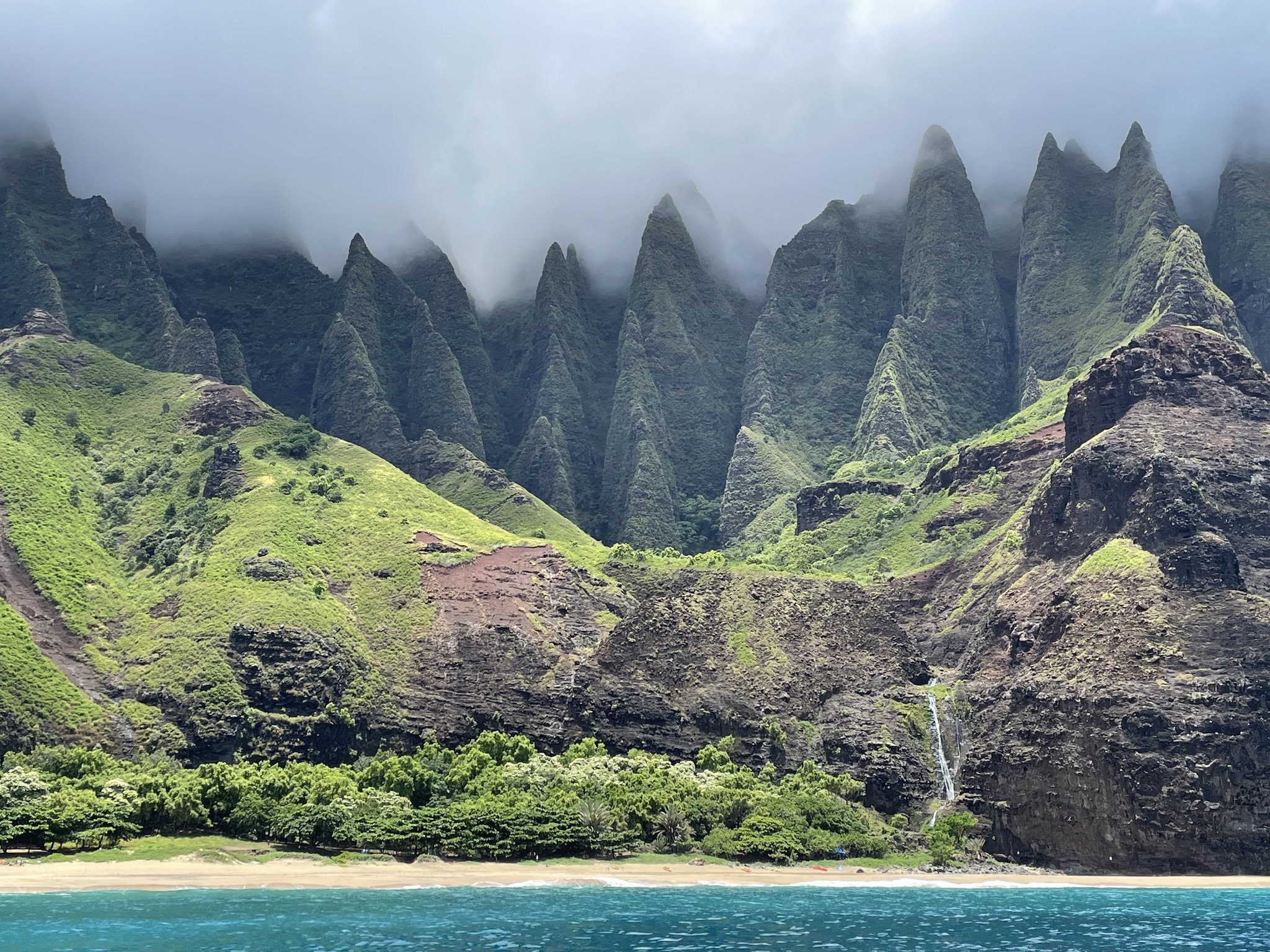 Introducing Kai Kō, the newest... - PacWhale Eco-Adventures | Facebook