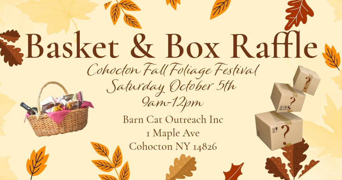 Basket & Box Raffle Fundraiser 9am-12pm Oct 5, 2024