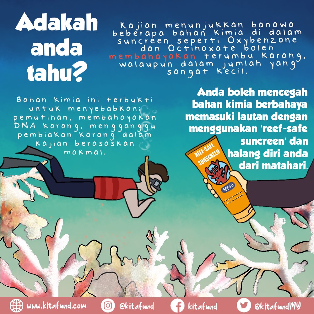 Kitafund Mengapa Terumbu Karang Sangat Penting 1 Facebook