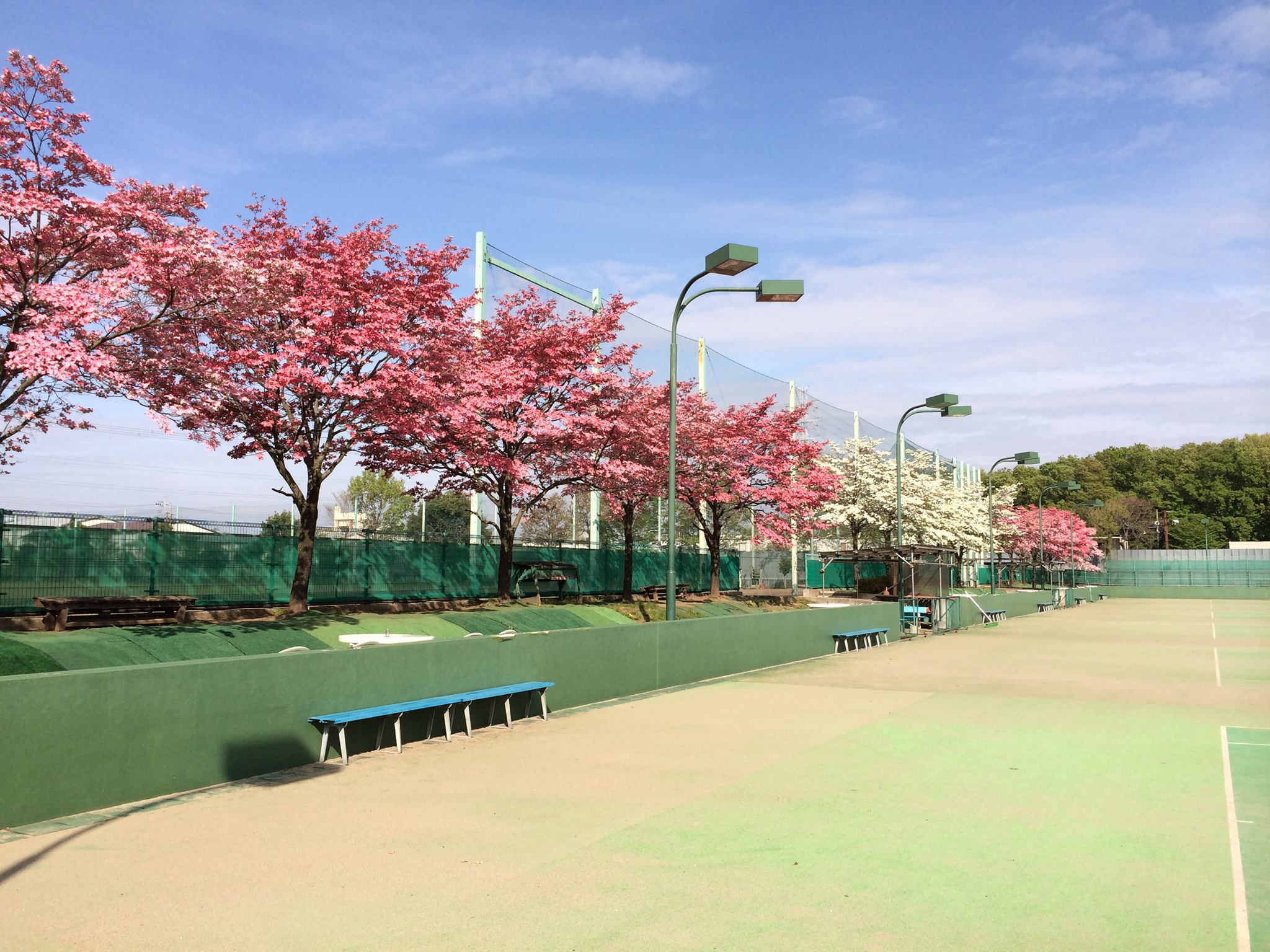 当時のメディア報道・掲載写真