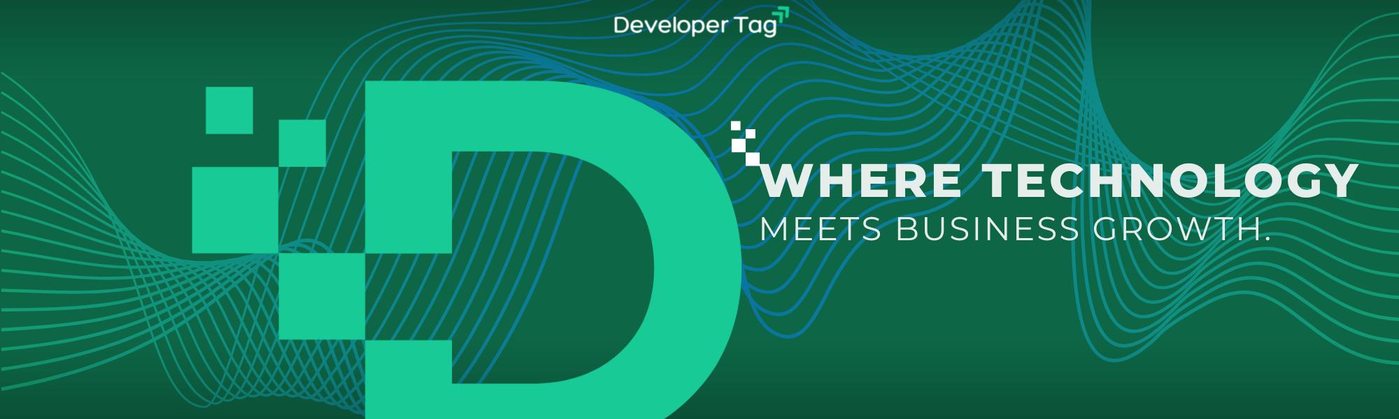 Developer Tag