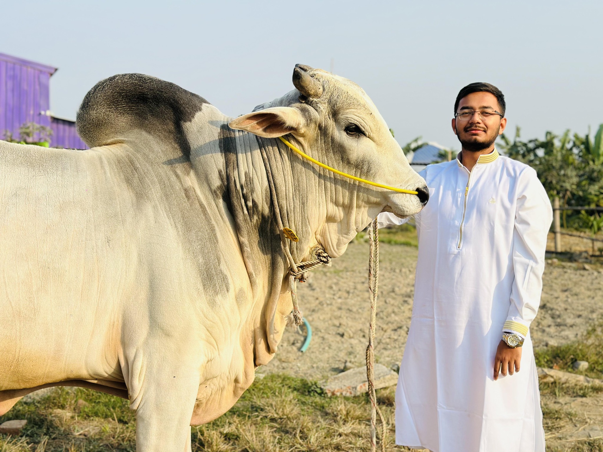Cattleman Abrar