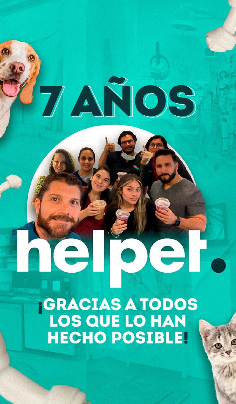 Helpet | Miami FL