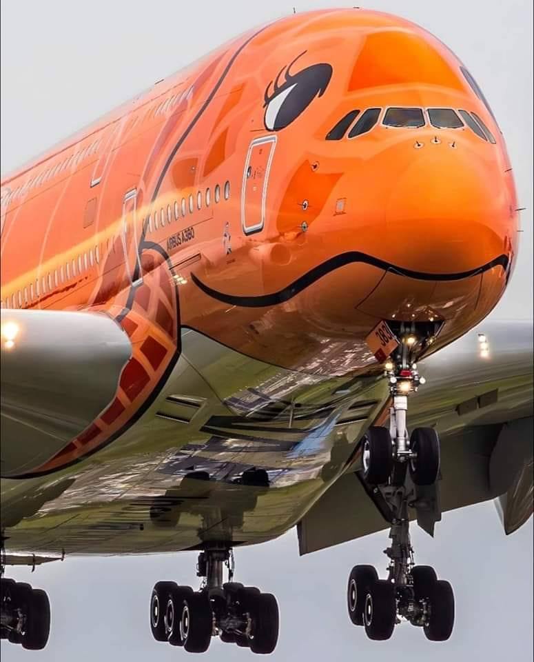 All Nippon Airways (ANA) Airbus A380-800,(Orange Turtle Livery
