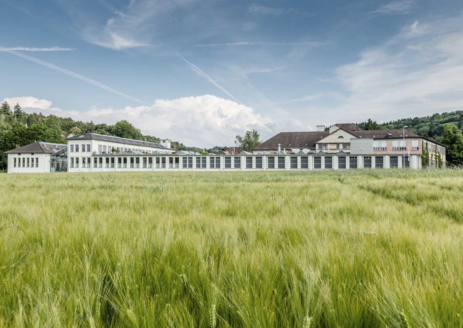 walzm-hle-frauenfeld