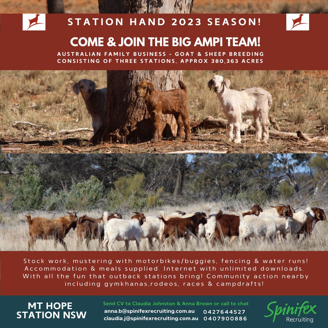 Anna - Station Hand - 2023 Mustering Season, APPLY NOW • Attractive ...