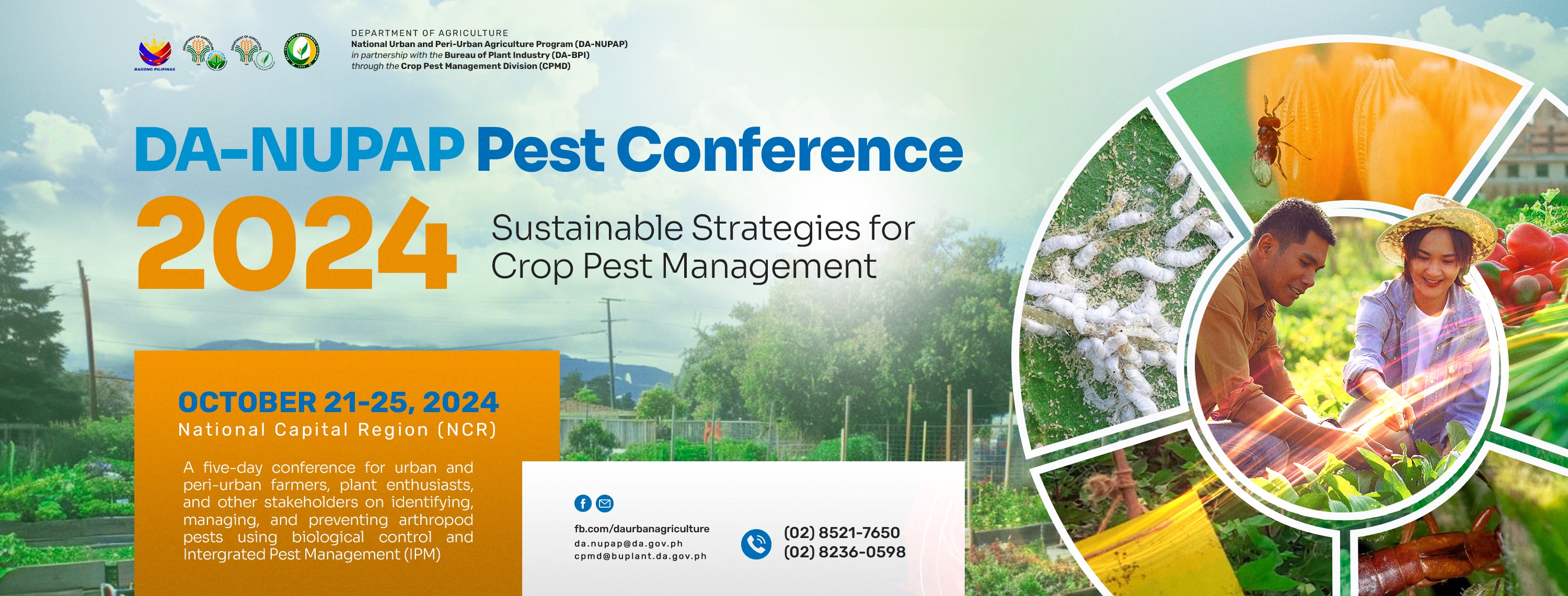 National Urban and Peri-Urban Agriculture Program | Manila