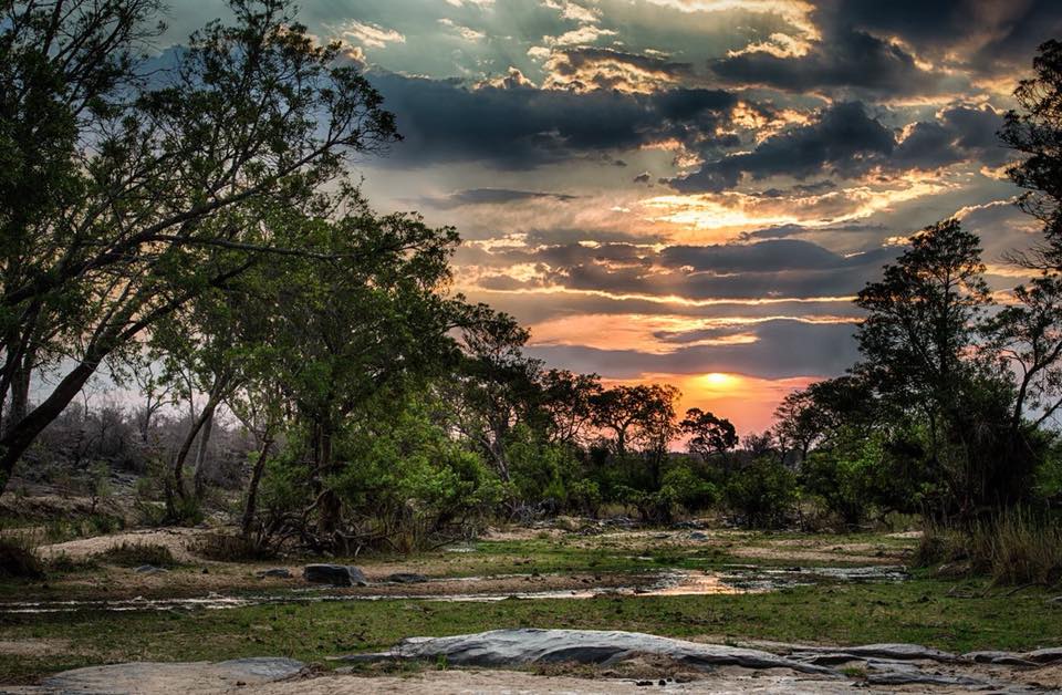Tamboti River Private Game Reserve | Vaalwater