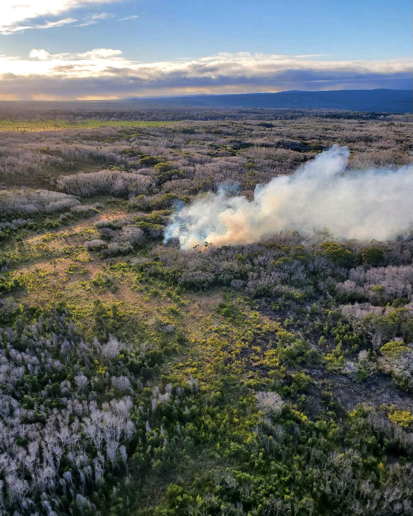 Kapapala Ranch - A brief scare. Mahalo to all the people... | Facebook