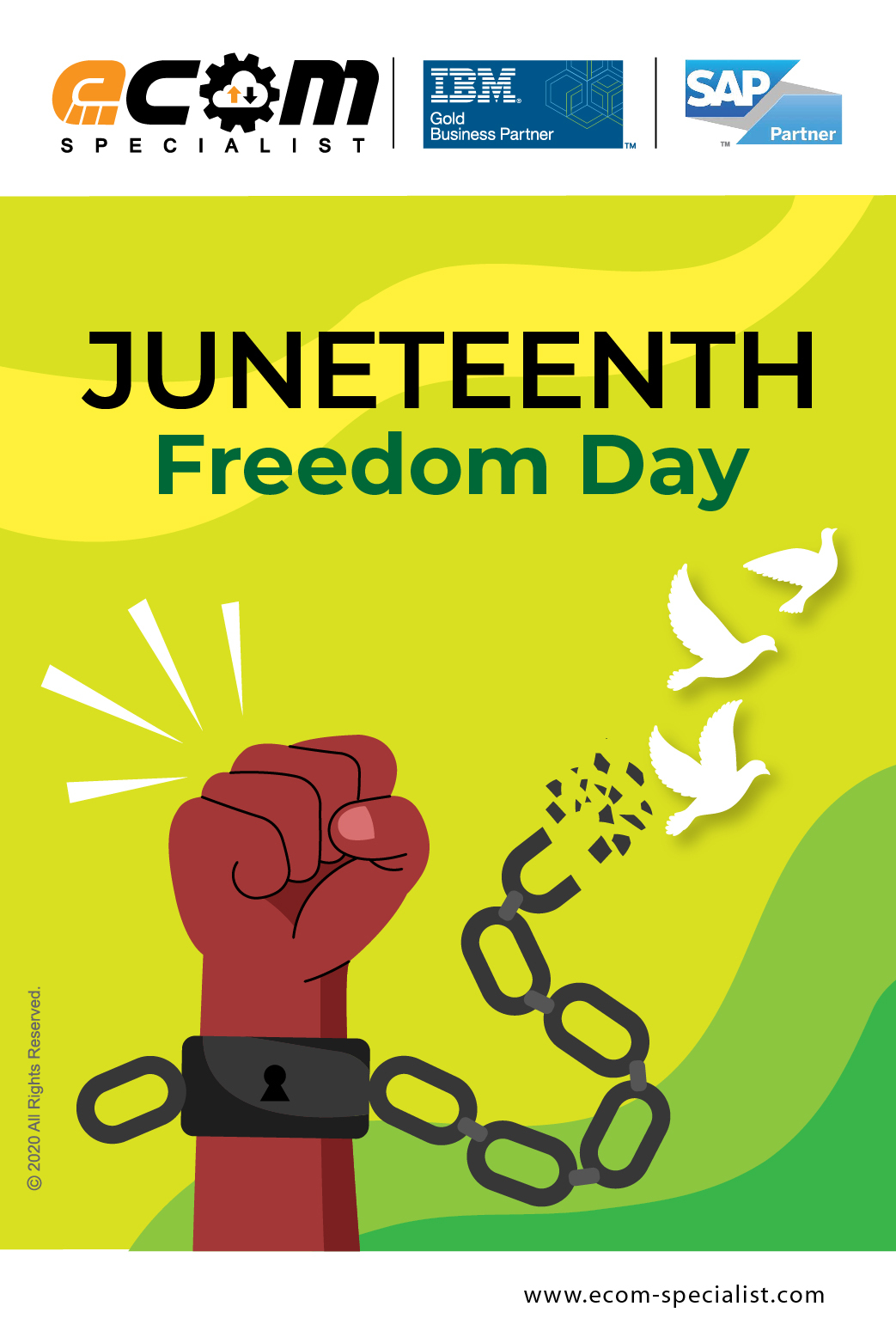 Ecom Specialist - What is #Juneteenth? - June 19, 1865...