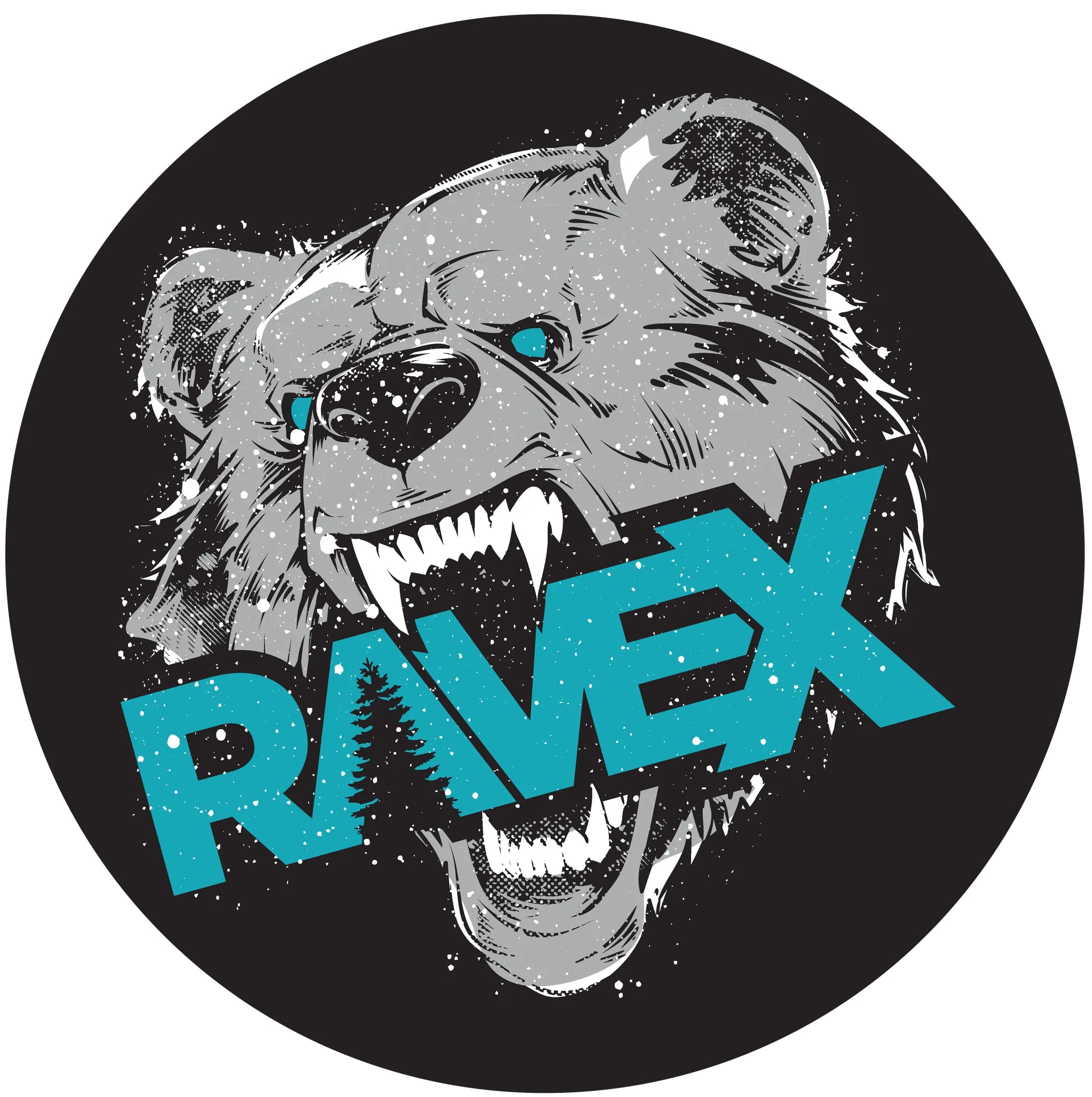 Coolest mechanics in the business! #ravex | RAVE X MOTORSPORTS