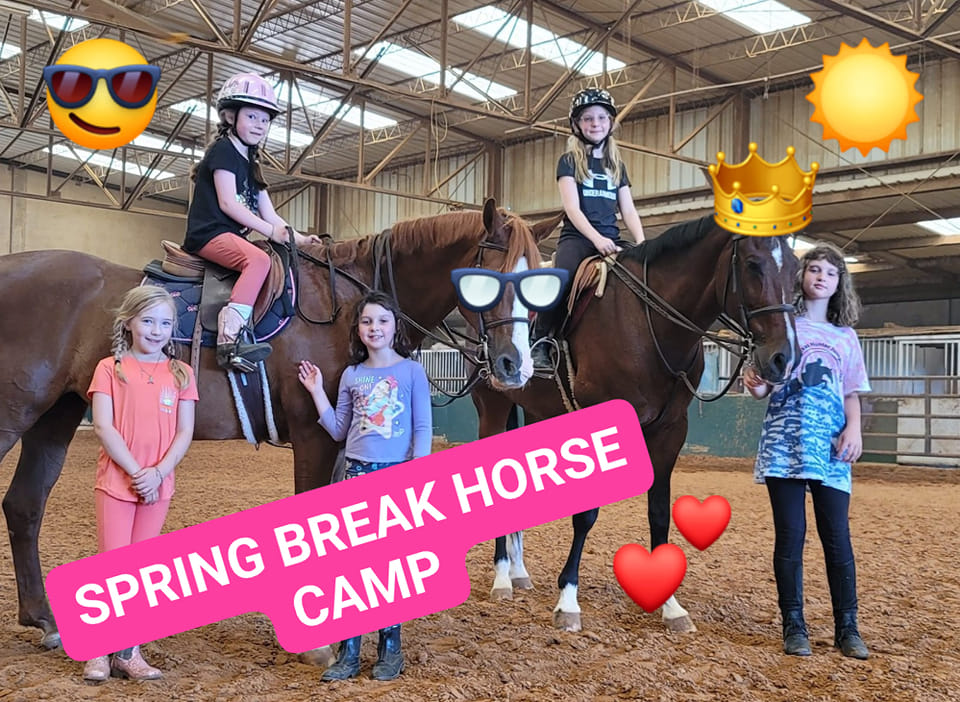 Willow Creek Equestrian Center, LLC - Spring Break Camp!!! Spring break ...