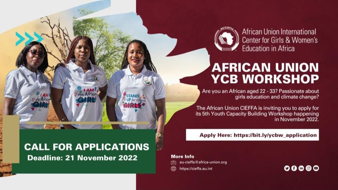 The YCBW program Application... - African Union Youth Program | Facebook