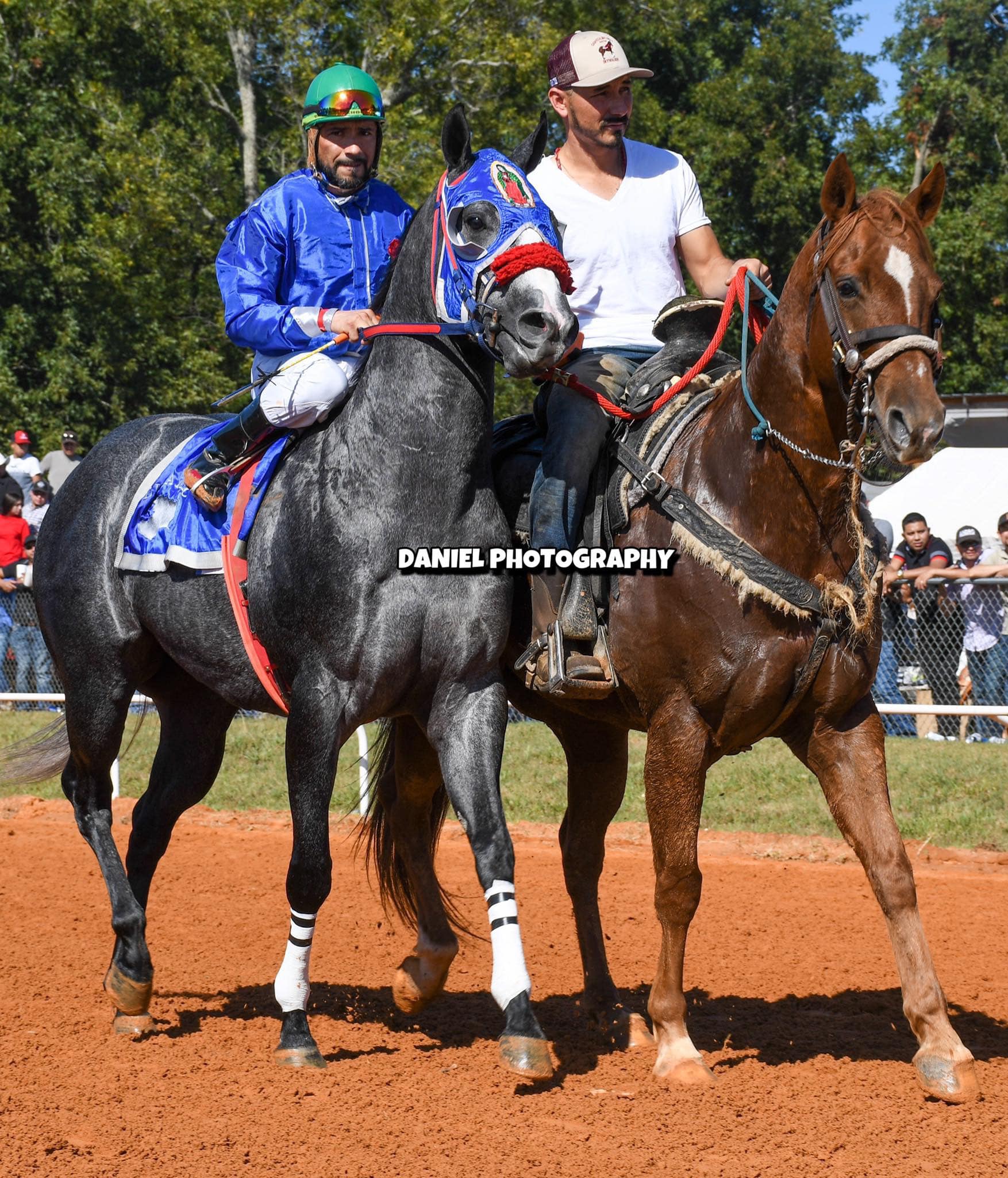El Rambo le hace una... - Caballos 90 Training Center