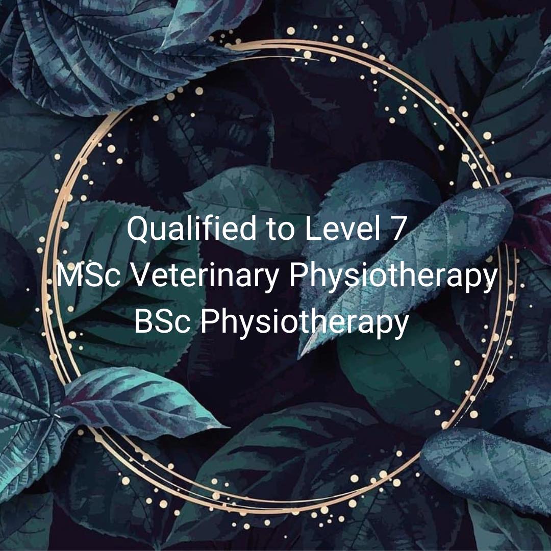 Lily Jackson ACPAT Veterinary Chartered Physiotherapist | Blandford Forum